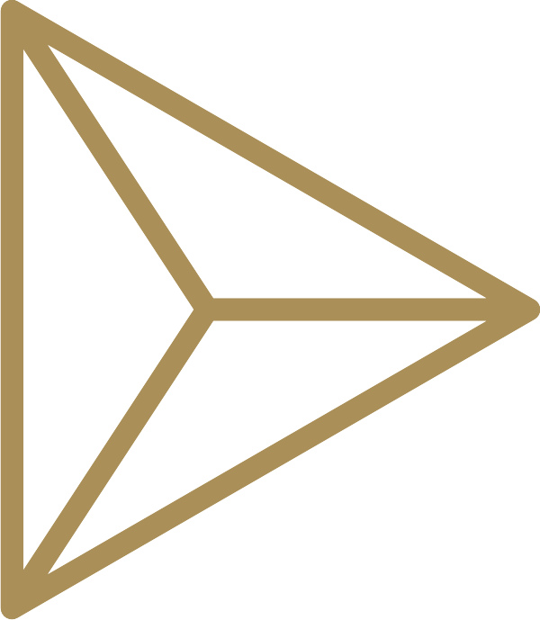 triangle-strategy-icon